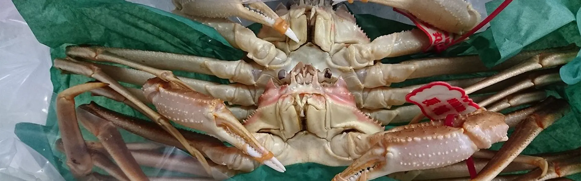 旅館ますや