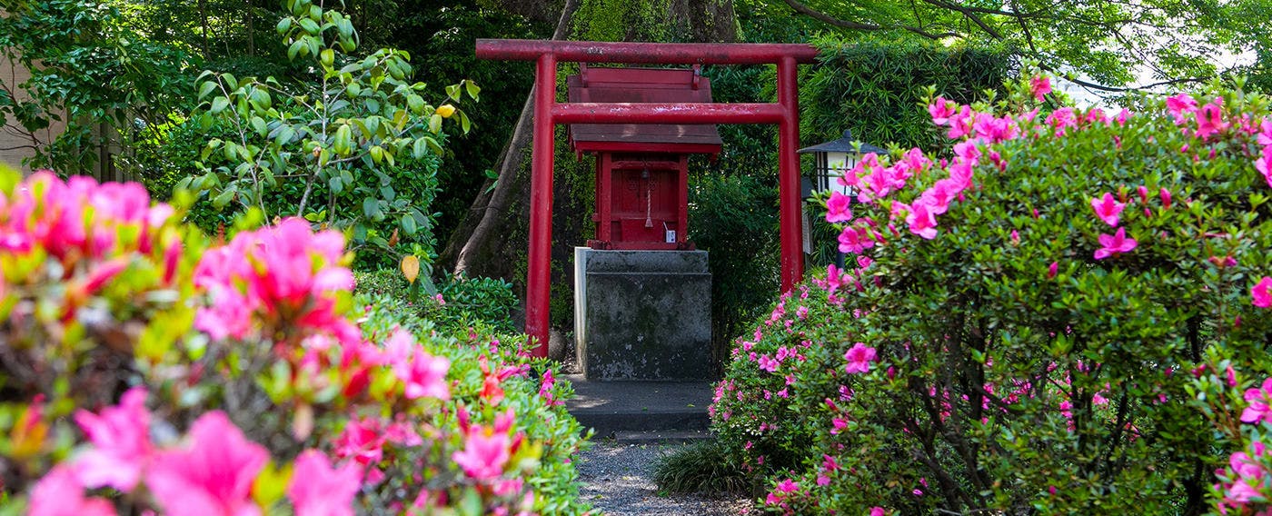 高知城下の天然温泉　三翠園