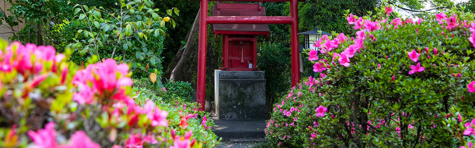 高知城下の天然温泉 三翠園