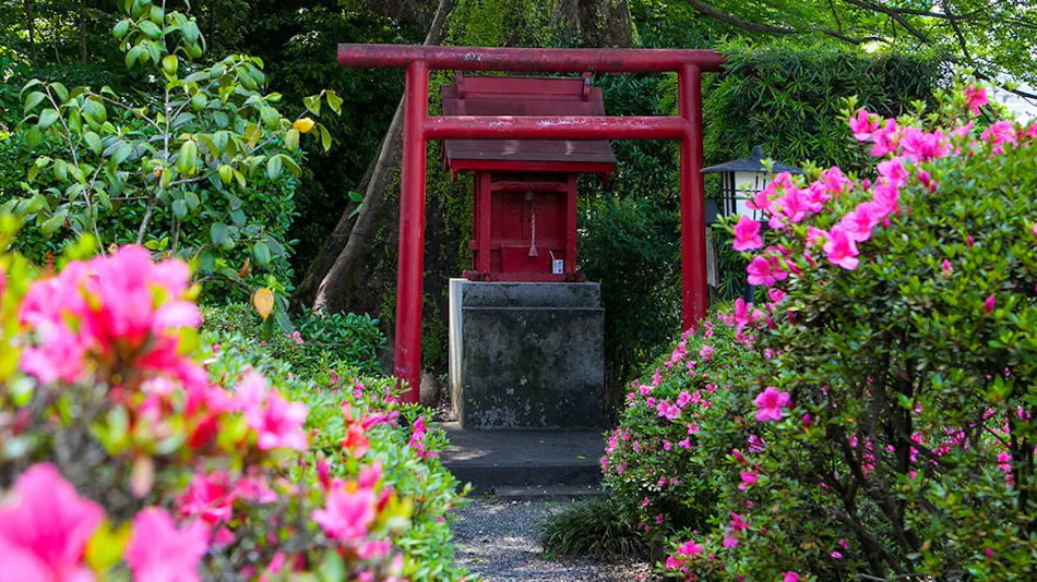 Sansuien, Natural Hot Spring at the Foot of Kochi Castle