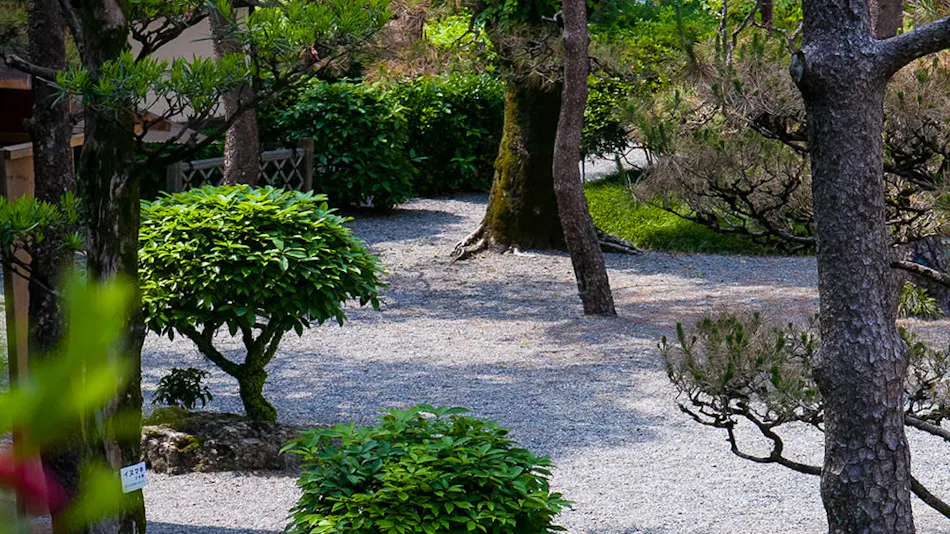 Sansuien, Natural Hot Spring at the Foot of Kochi Castle