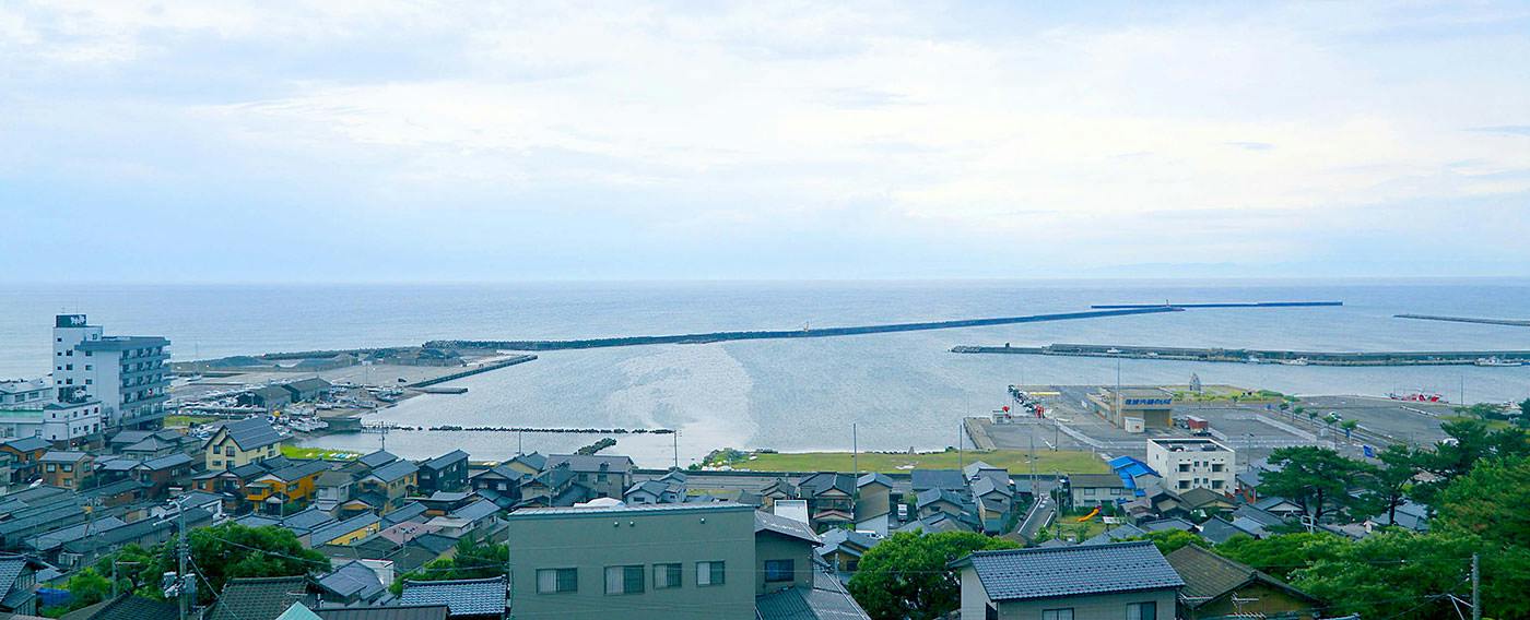 寺泊海岸つわぶき温泉　美味探究の宿　住吉屋
