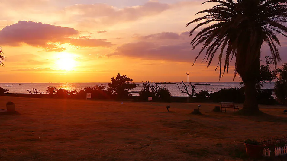 Shirahama Ocean Resort