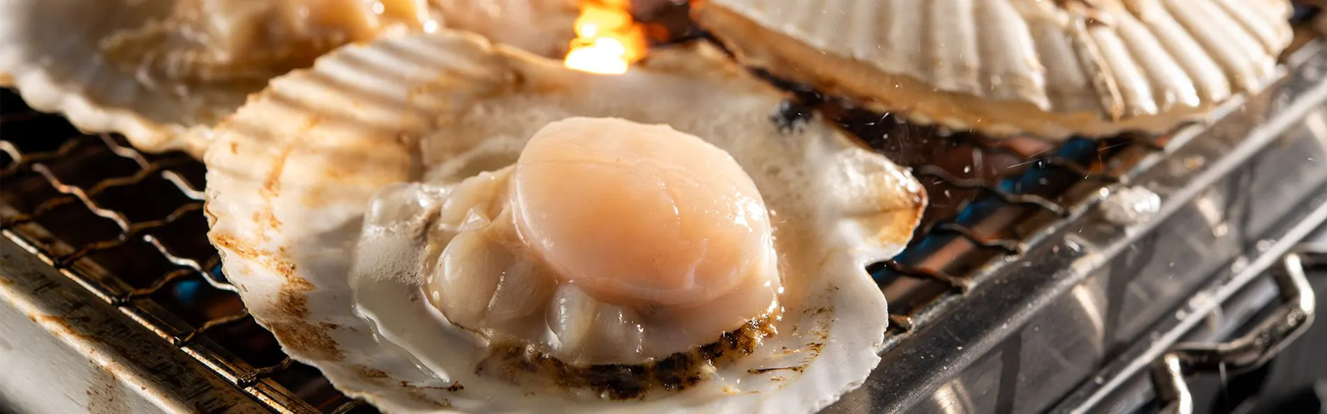 白浜オーシャンリゾート