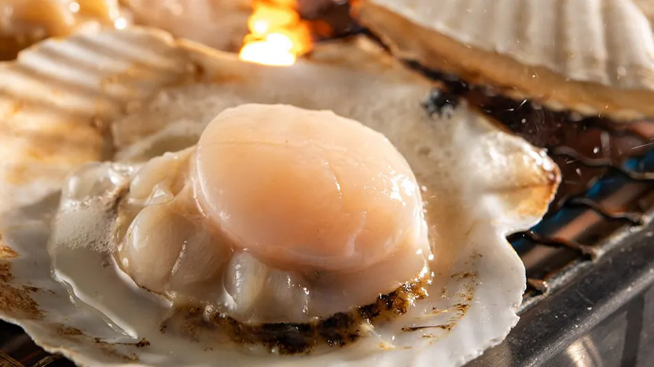 Shirahama Ocean Resort