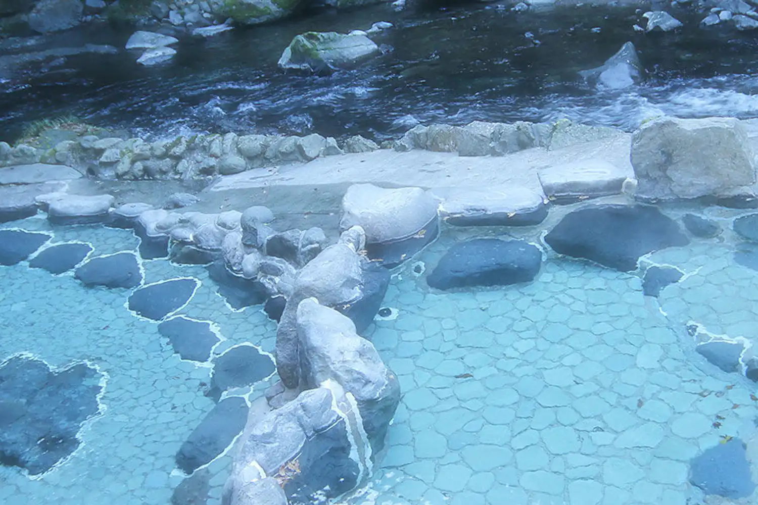 ชิบุคิโนะยุ