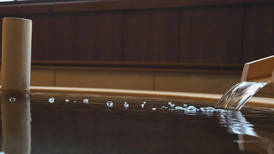 Shirakami Yatate Yugen Village Inn Hikage Onsen