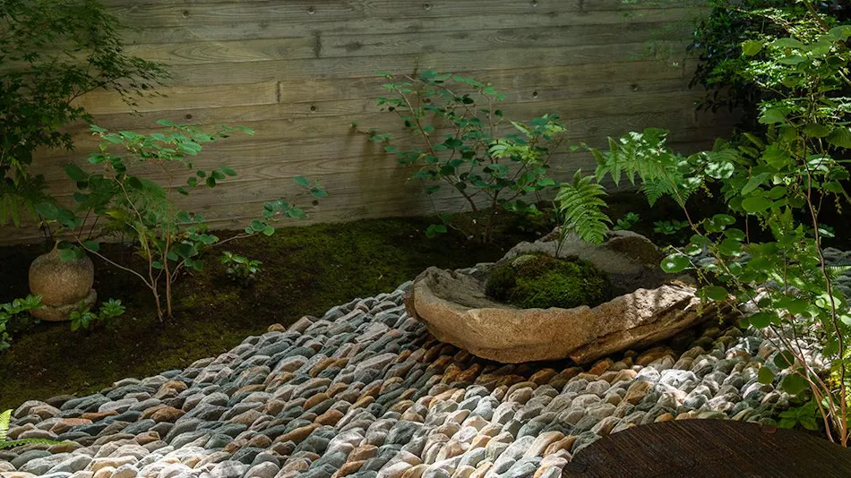 Genji Kyoto