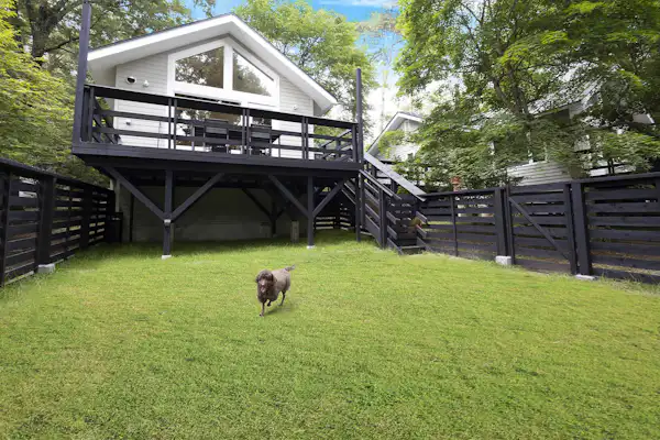 สวนสุนัข