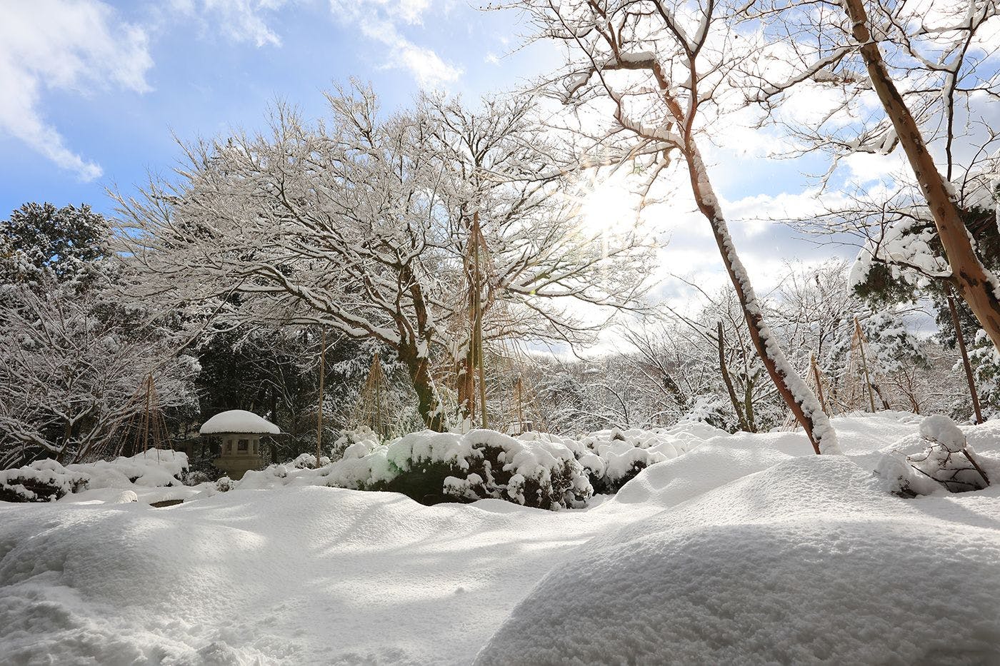 冬の日本庭園