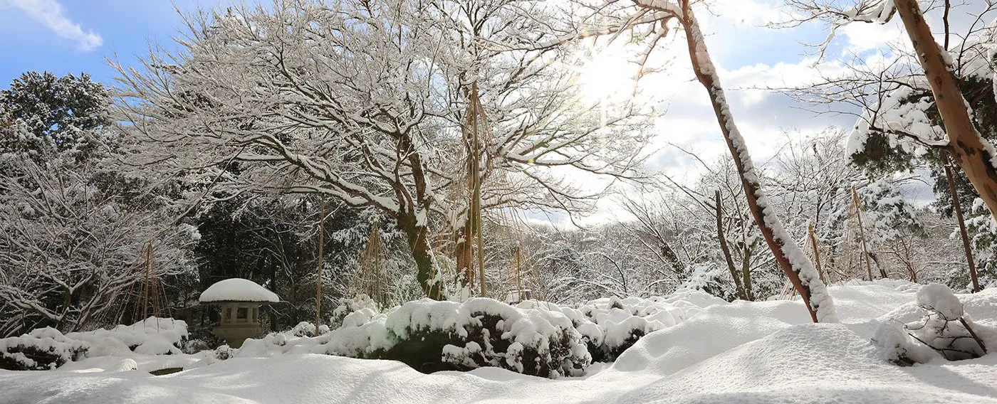 冬の日本庭園