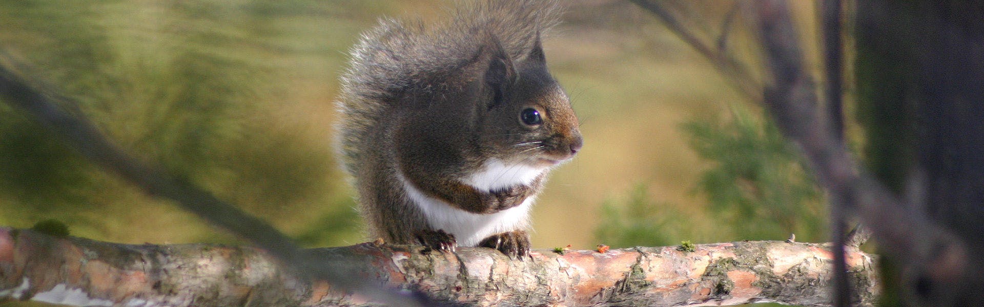 ภายในอาคาร