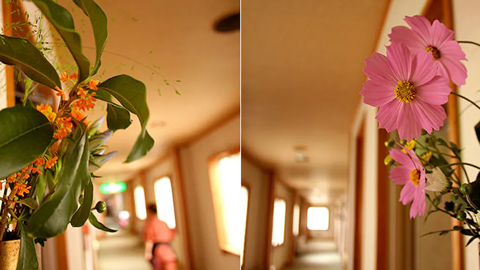 Adatara no Yado Ogiya