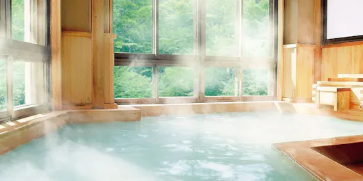 Yamano Yado Shimofujiya