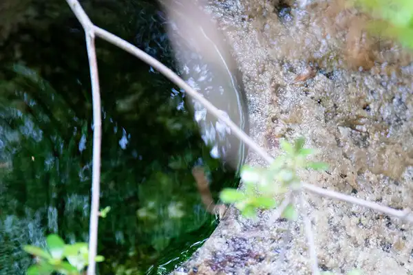 ภายในอาคาร