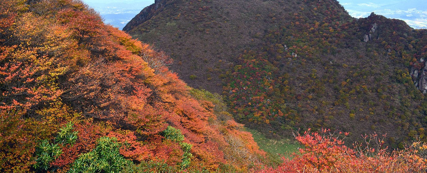 นากาโอะฮาระ・มิมาตะ (ฤดูใบไม้ร่วง)