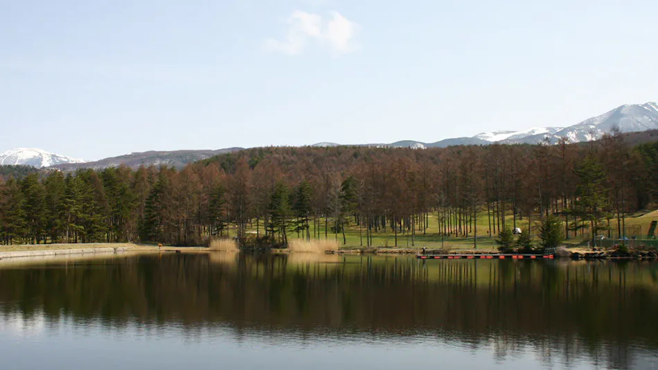 Tateshina Plateau Auberge Chalet Grindel
