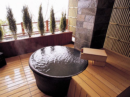 湖畔の宿 支笏湖 丸駒温泉旅館 の空室状況を確認する 宿泊予約は 一休 Com