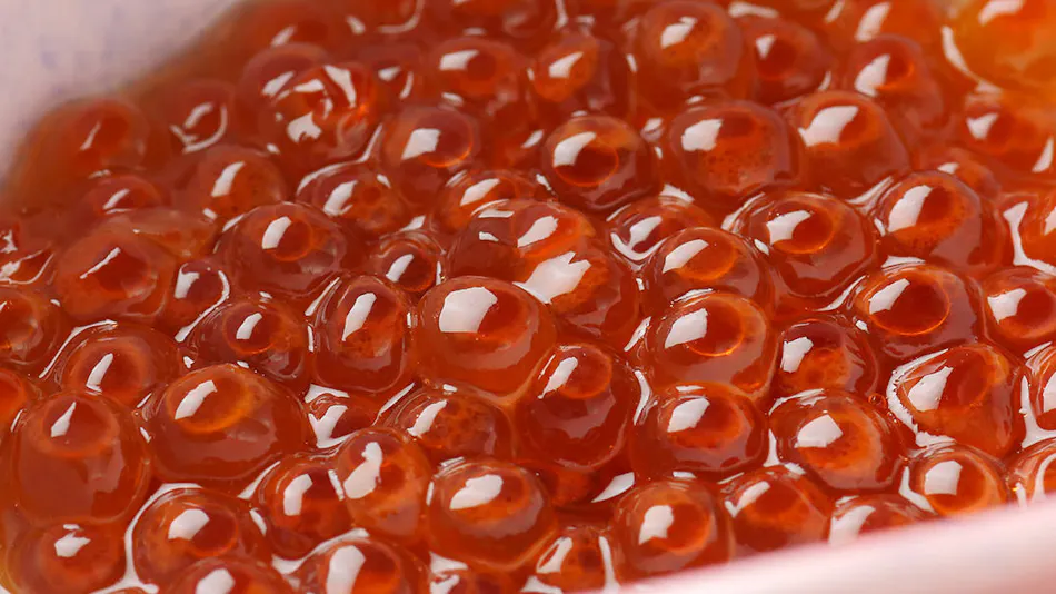 Seafood Restaurant & Inn Shinsei