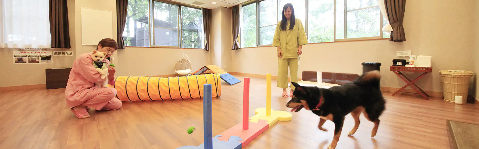 屋内ドッグラン