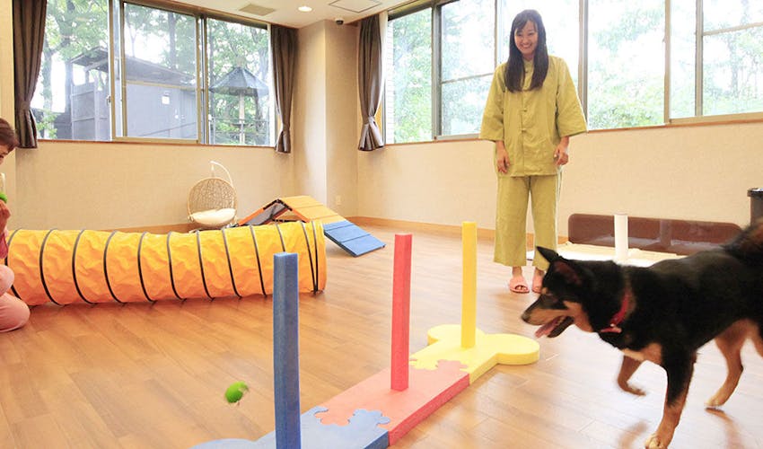 愛犬お宿 伊豆高原 の宿泊プラン 宿泊予約は 一休 Com キラリト