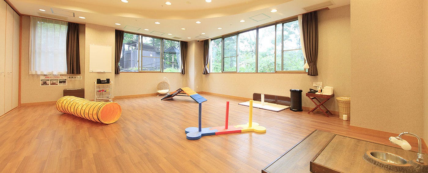 室內狗狗遊樂場