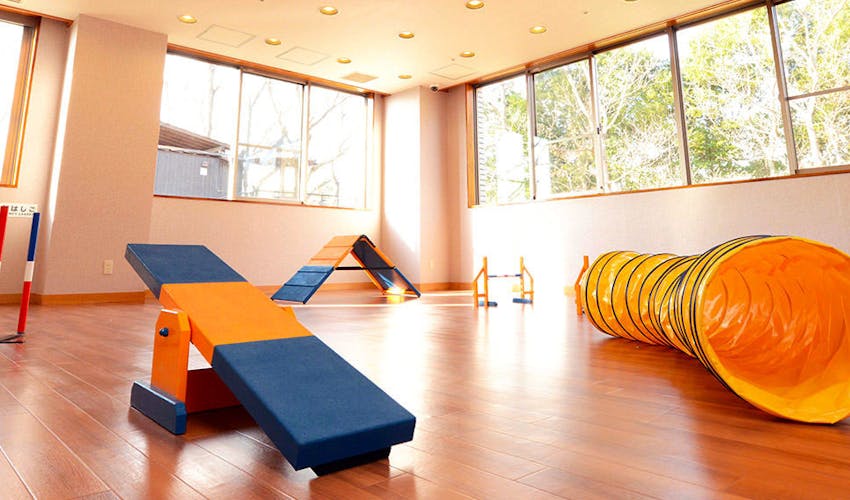 愛犬お宿 伊豆高原 の宿泊プラン 宿泊予約は 一休 Com キラリト