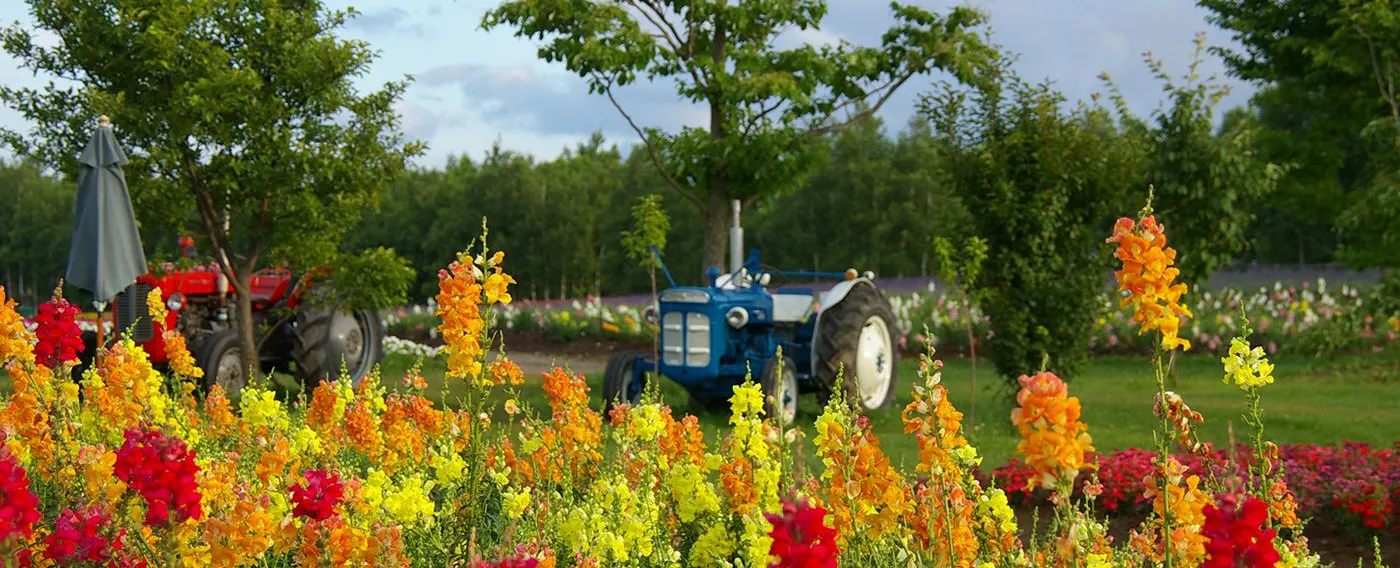 สถานที่ท่องเที่ยวใกล้เคียง