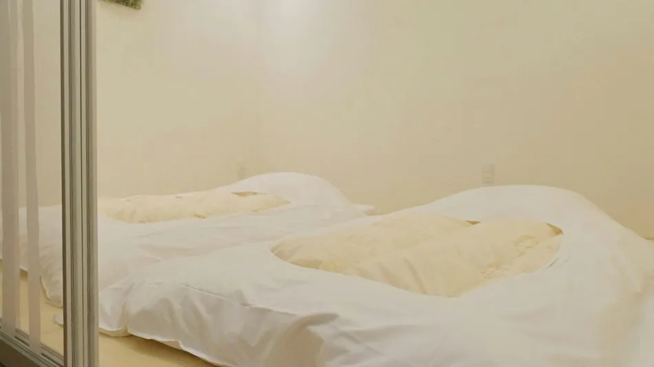 Hotel Naturwald Furano