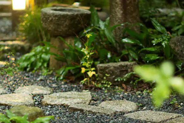 สวนญี่ปุ่น