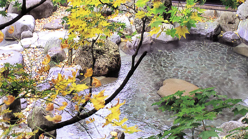 Me no Onsen Oku-Yuzawa Kaikake Onsen