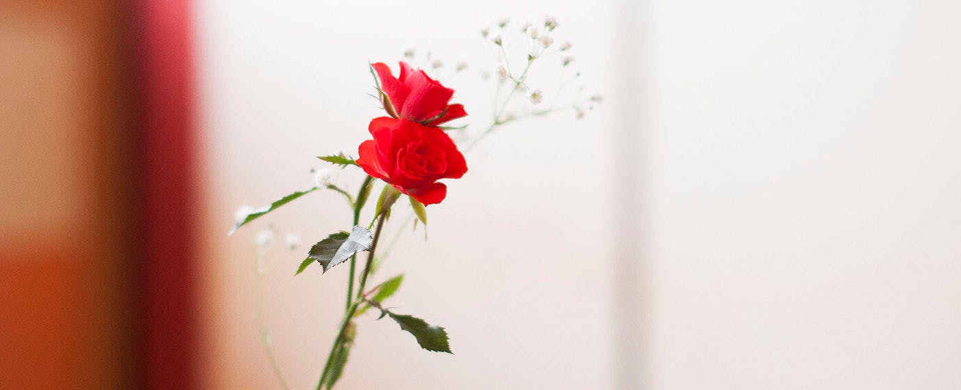 Nagoya Hanatei Miyoshi, a Culinary Ryokan