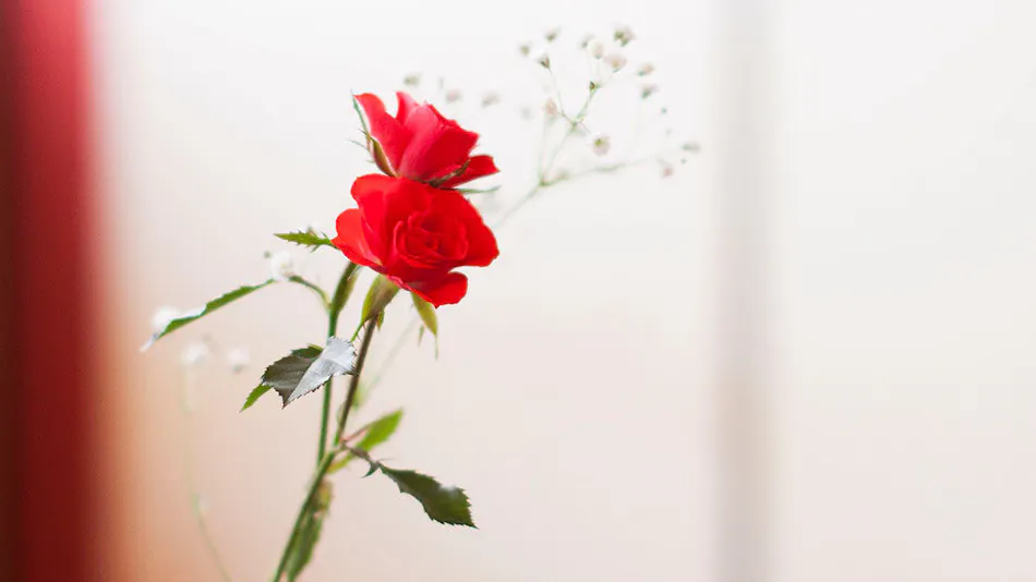 Nagoya Hanatei Miyoshi, a Culinary Ryokan