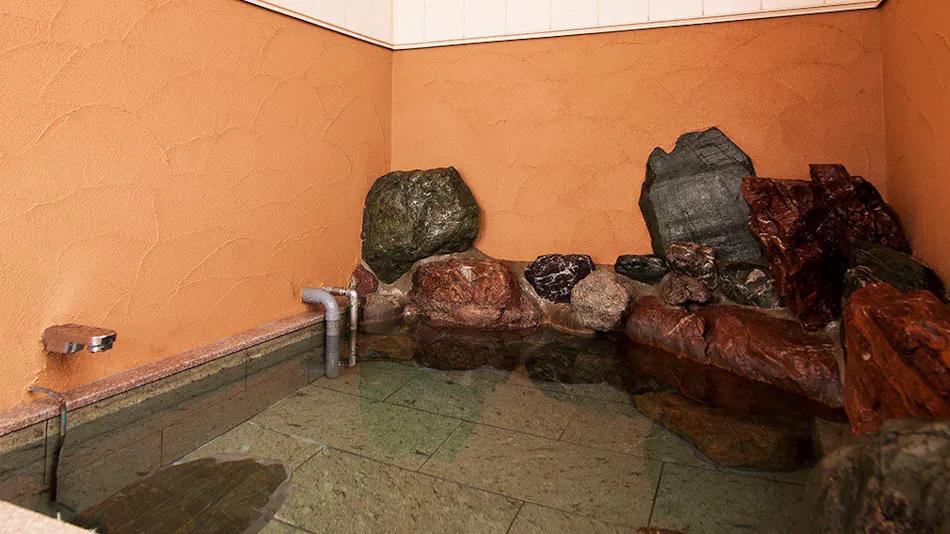 Nagoyakatei Miyoshi (Miyoshi Ryokan)