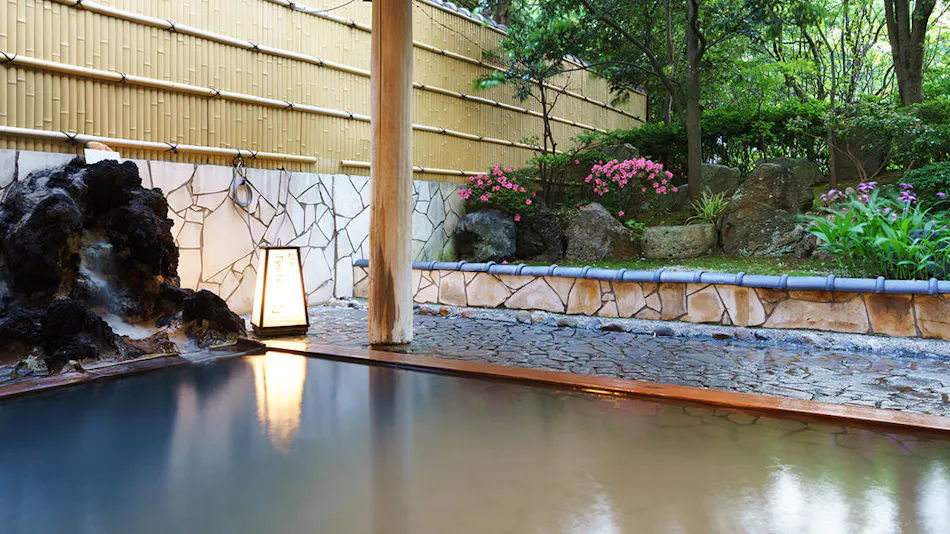 Accommodation Overlooking the Echigo Plain and Yahiko Mountain Range - Hoho -