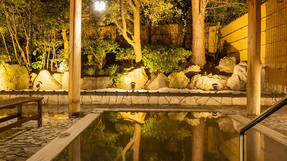 Accommodation Overlooking the Echigo Plain and Yahiko Mountain Range - Hoho -