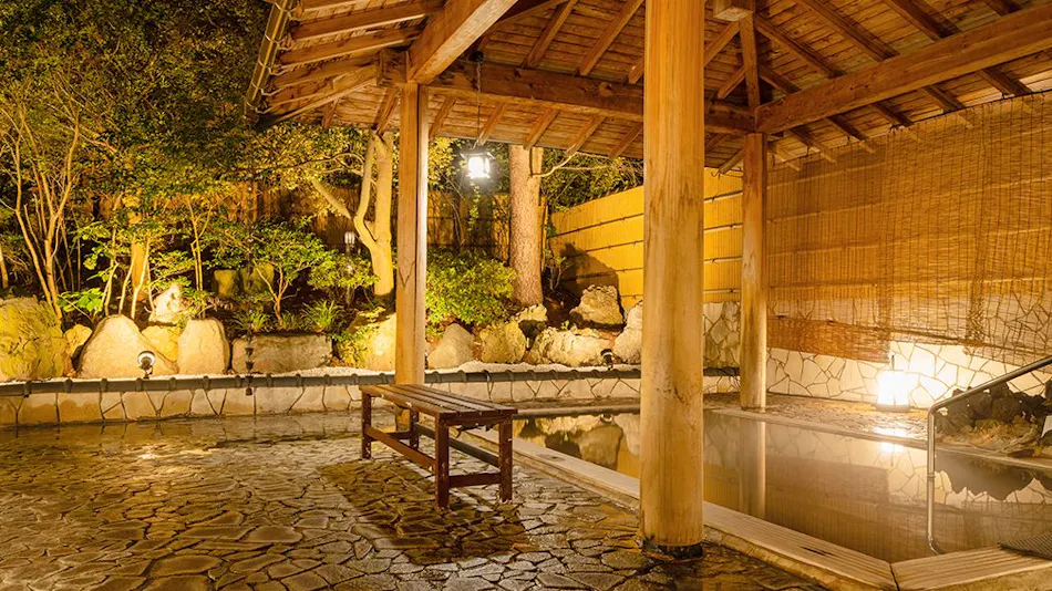 Accommodation Overlooking the Echigo Plain and Yahiko Mountain Range - Hoho -