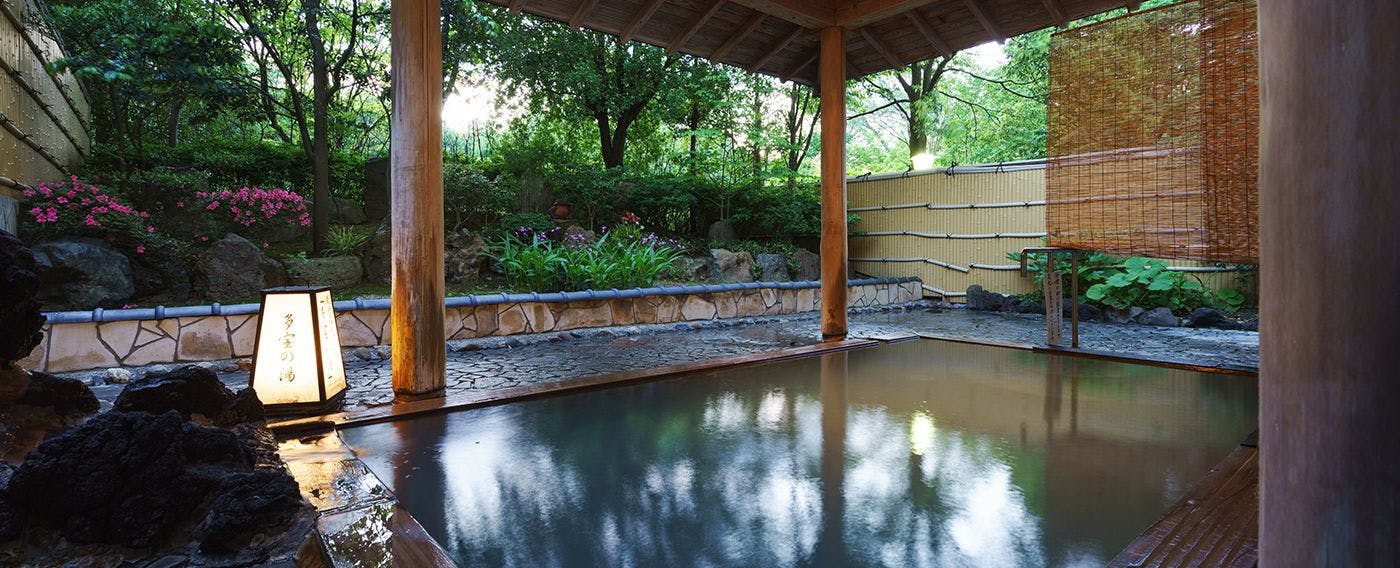 Accommodation Overlooking the Echigo Plain and Yahiko Mountain Range - Hoho -