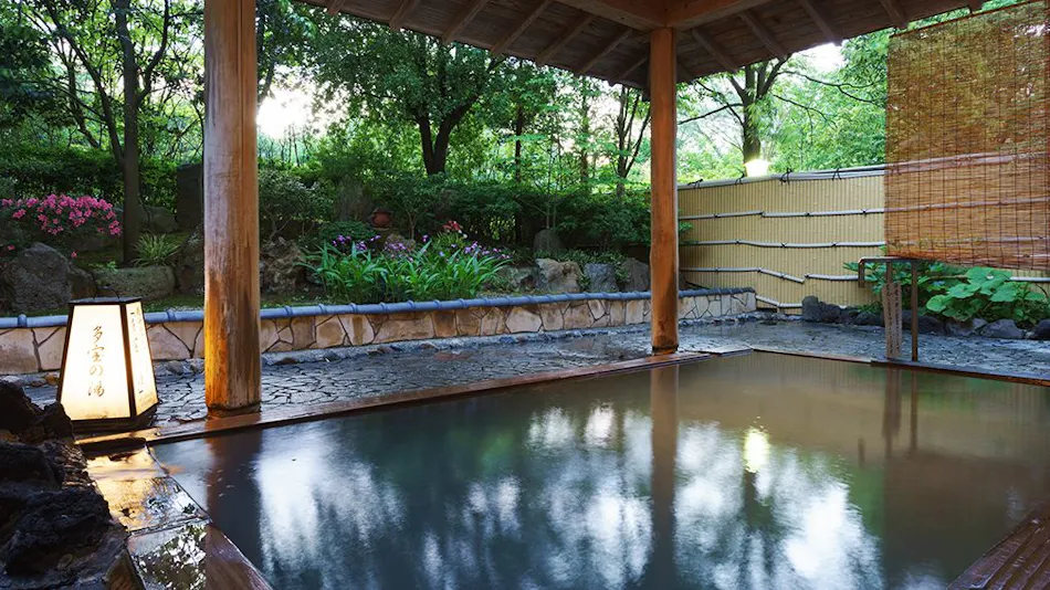 Accommodation Overlooking the Echigo Plain and Yahiko Mountain Range - Hoho -