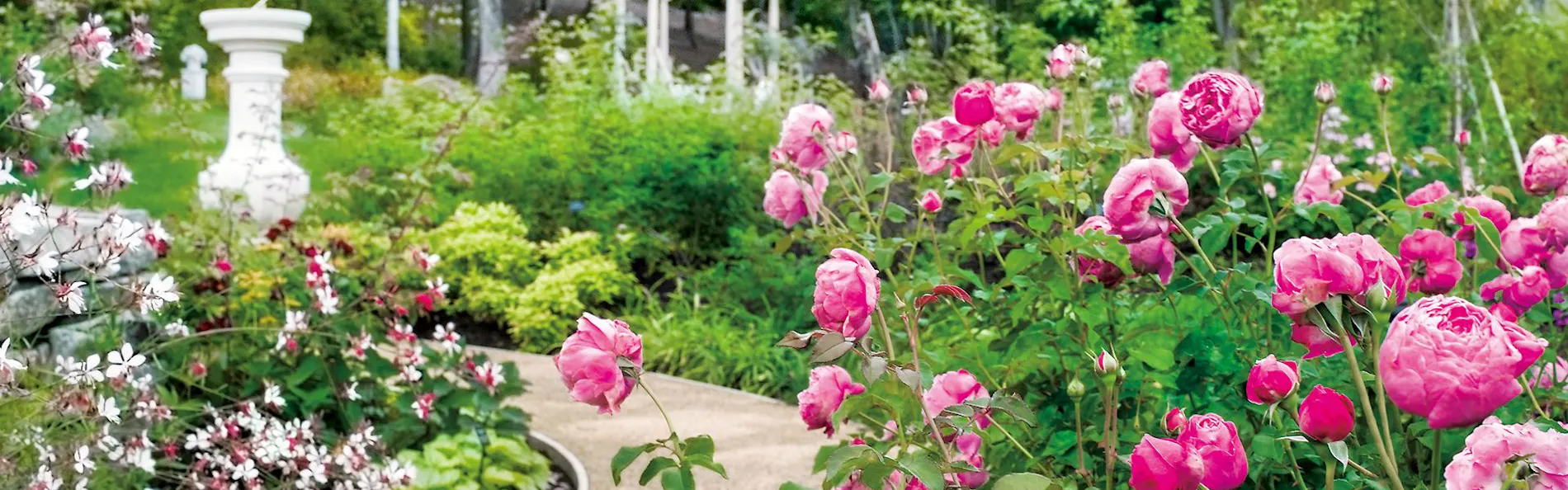 ホテルグリーンプラザ白馬