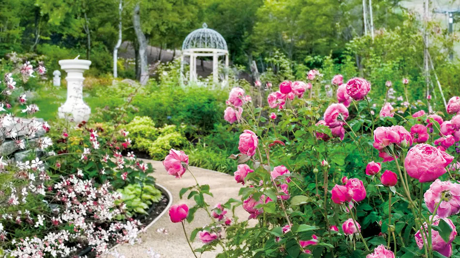 Hotel Green Plaza Hakuba