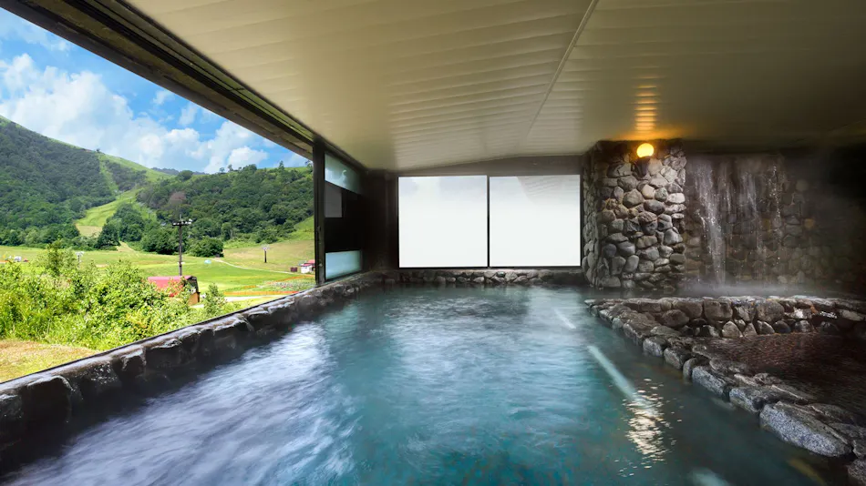 Hotel Green Plaza Hakuba