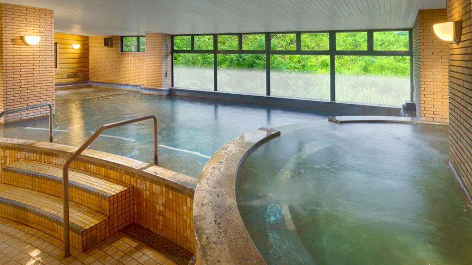Hotel Green Plaza Hakuba