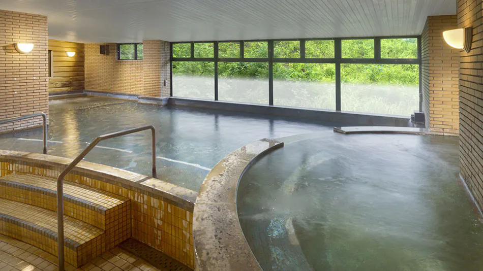 Hotel Green Plaza Hakuba