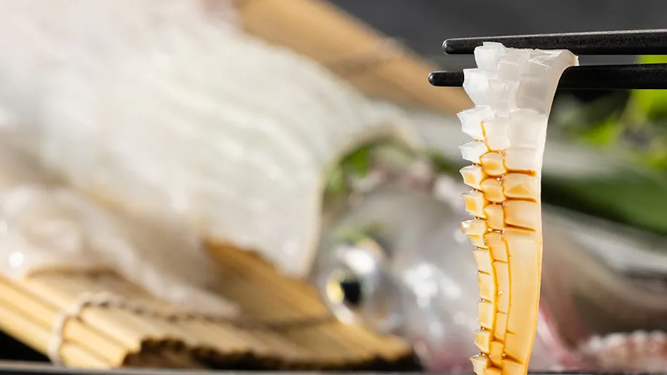 Kyukamura Takenokaigan