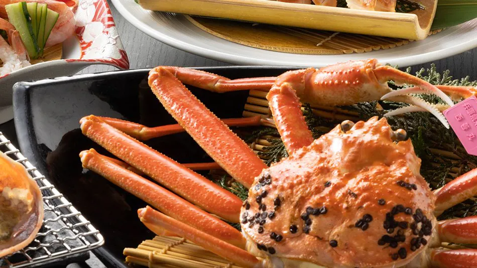 Kyukamura Takenokaigan