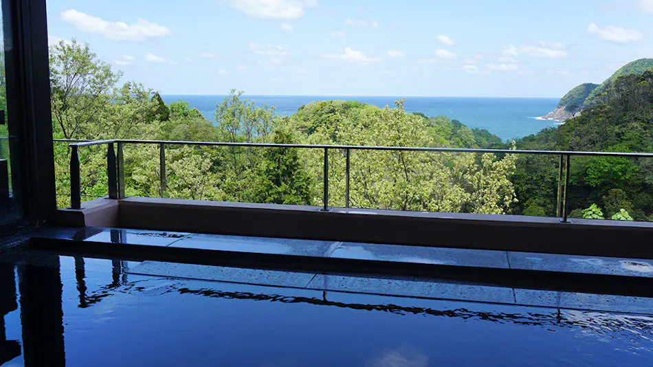 Kyukamura Takenokaigan