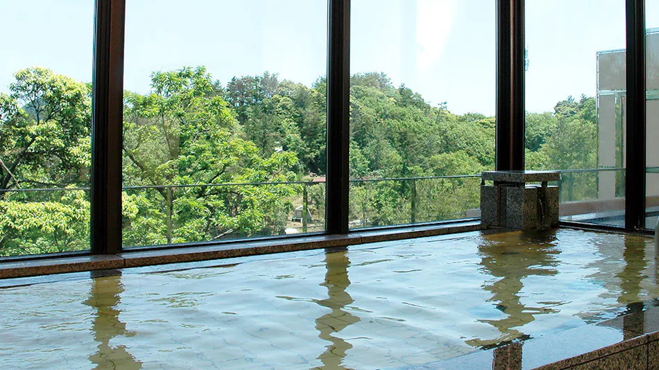 Kyukamura Takenokaigan