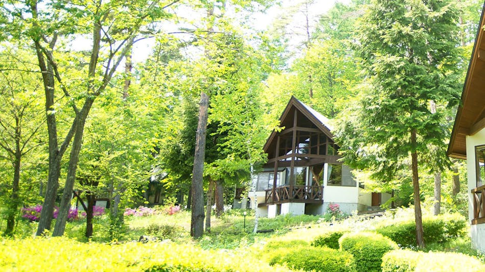 夕食はお部屋 長野県のペットokのお部屋 源泉かけ流しありの 安く泊まれるホテル 旅館 お得に宿泊予約 Yahoo トラベル 夕食はお部屋 長野県のペットokのお部屋 源泉かけ流しありの 安く泊まれるホテル 旅館 お得に宿泊予約 Yahoo トラベル