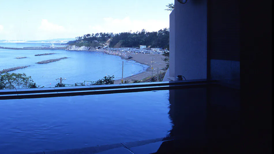 Seaside Inn Naniwaya Yuunagitei